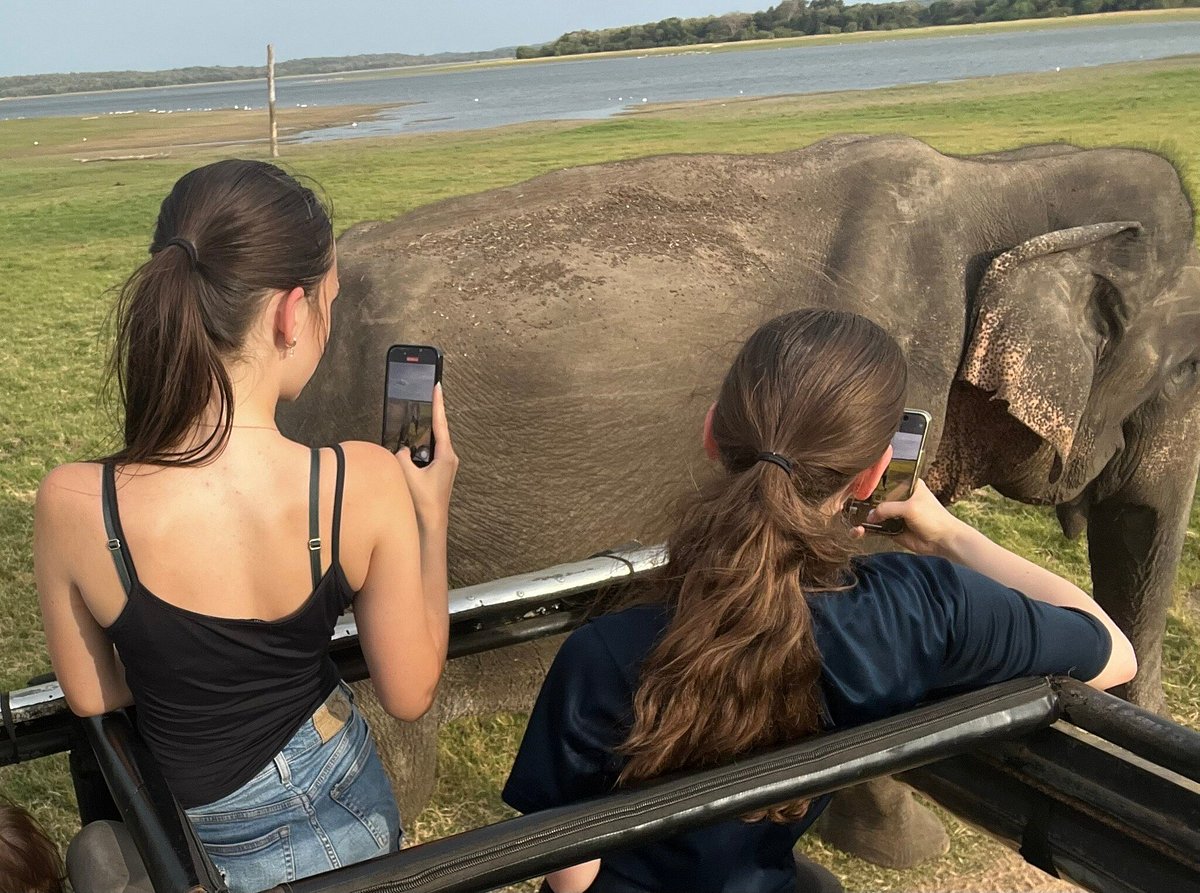 Private Kaudulla Morning Jeep Safari